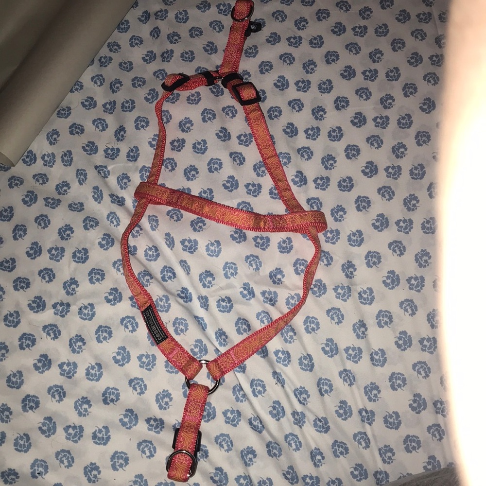 Dog harness